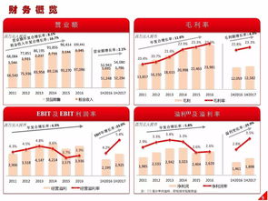 高鑫零售2024上半年業績解讀 營收穩健增長，日用百貨銷售成亮點